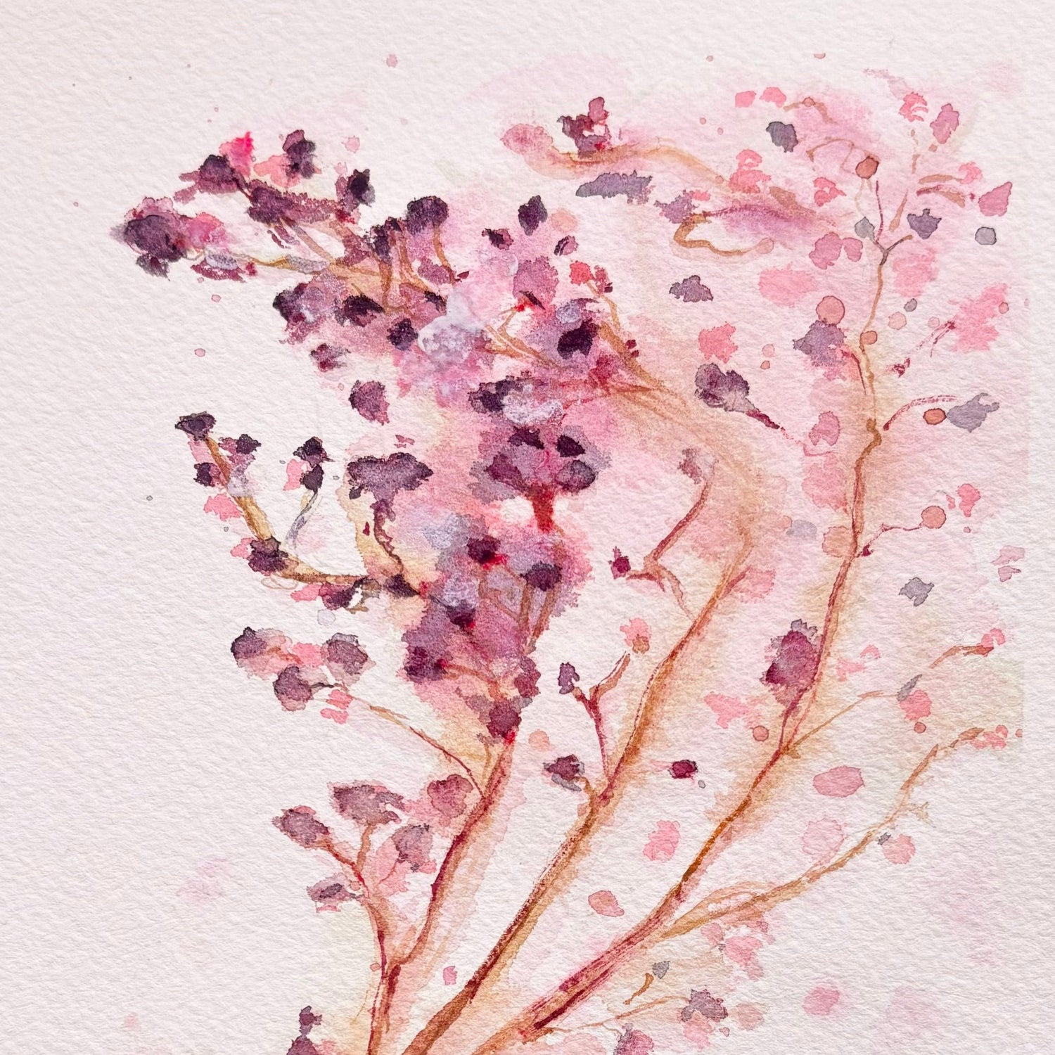 Botanical Watercolour Paintings | Originals & Prints